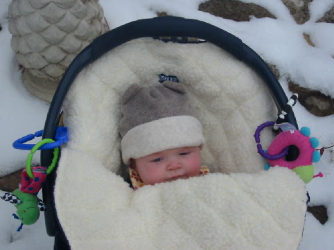 December 5th - Jane enjoying her first snow from the safety of her car seat